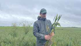 Este agricultor posee 240 hectáreas con productos como trigo, remolacha o cebada en Francia.