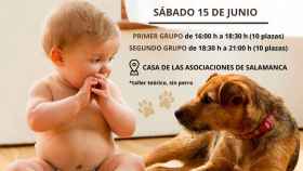 El Ayuntamiento de Salamanca progama dos cursos gratuitos sobre educación canina para familias con bebés y niños