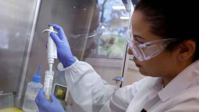 Una inspectora agrícola trabaja con una muestra del virus de la gripe aviar en Brasil.