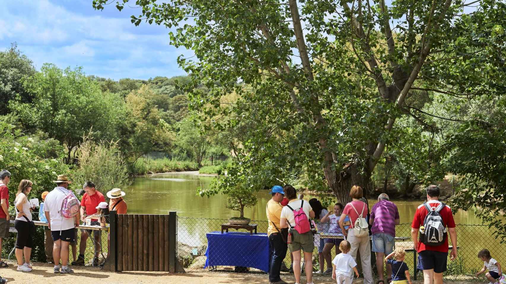 Finca 'El Borril'. / Foto: Turismo Castilla-La Mancha.