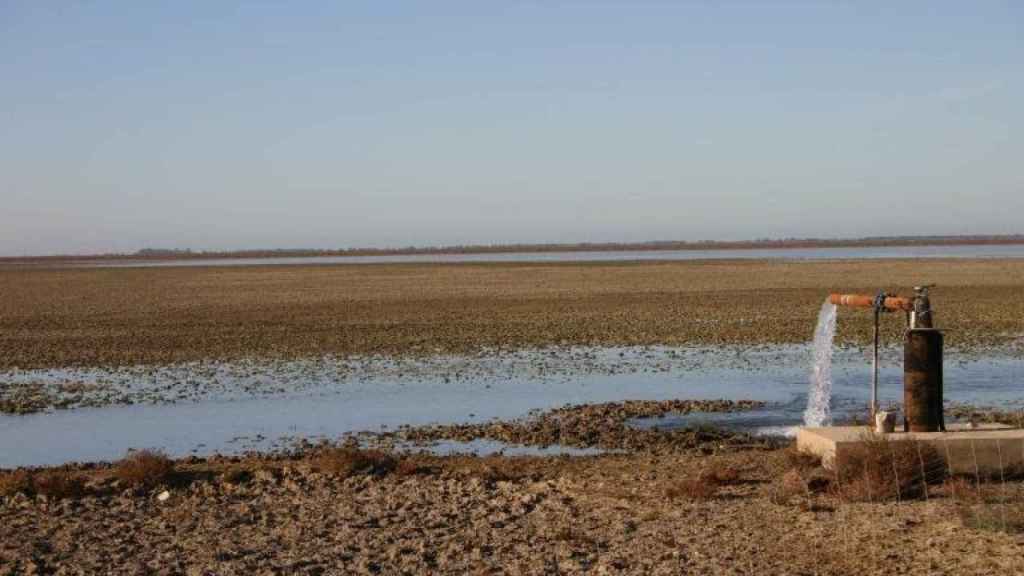 Una boca de riego en Doñana.