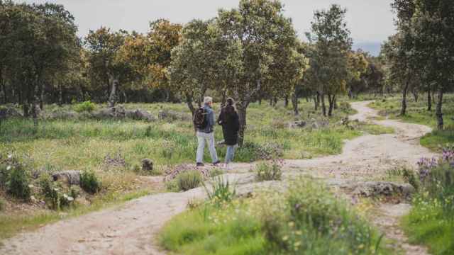 Las rutas más desconocidas y accesibles de la Sierra de Guadarrama