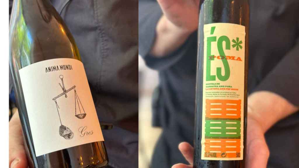 Vinos de la bodega de Insolent.