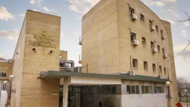 El Hospital Clínico Veterinario de la Complutense.