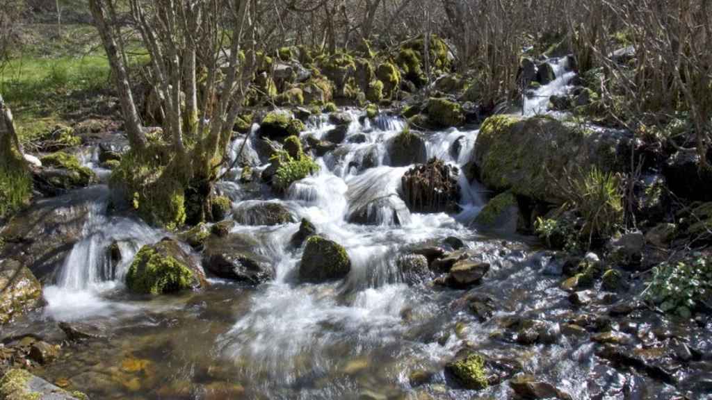 La belleza de la naturaleza