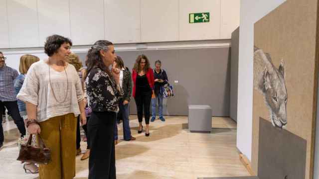 La exposición 'Sauvage', ya abierta al público en el campus de la Universidad de Alicante.