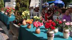 Imagen de una edición anterior de la Festa da Rosa de Mos.