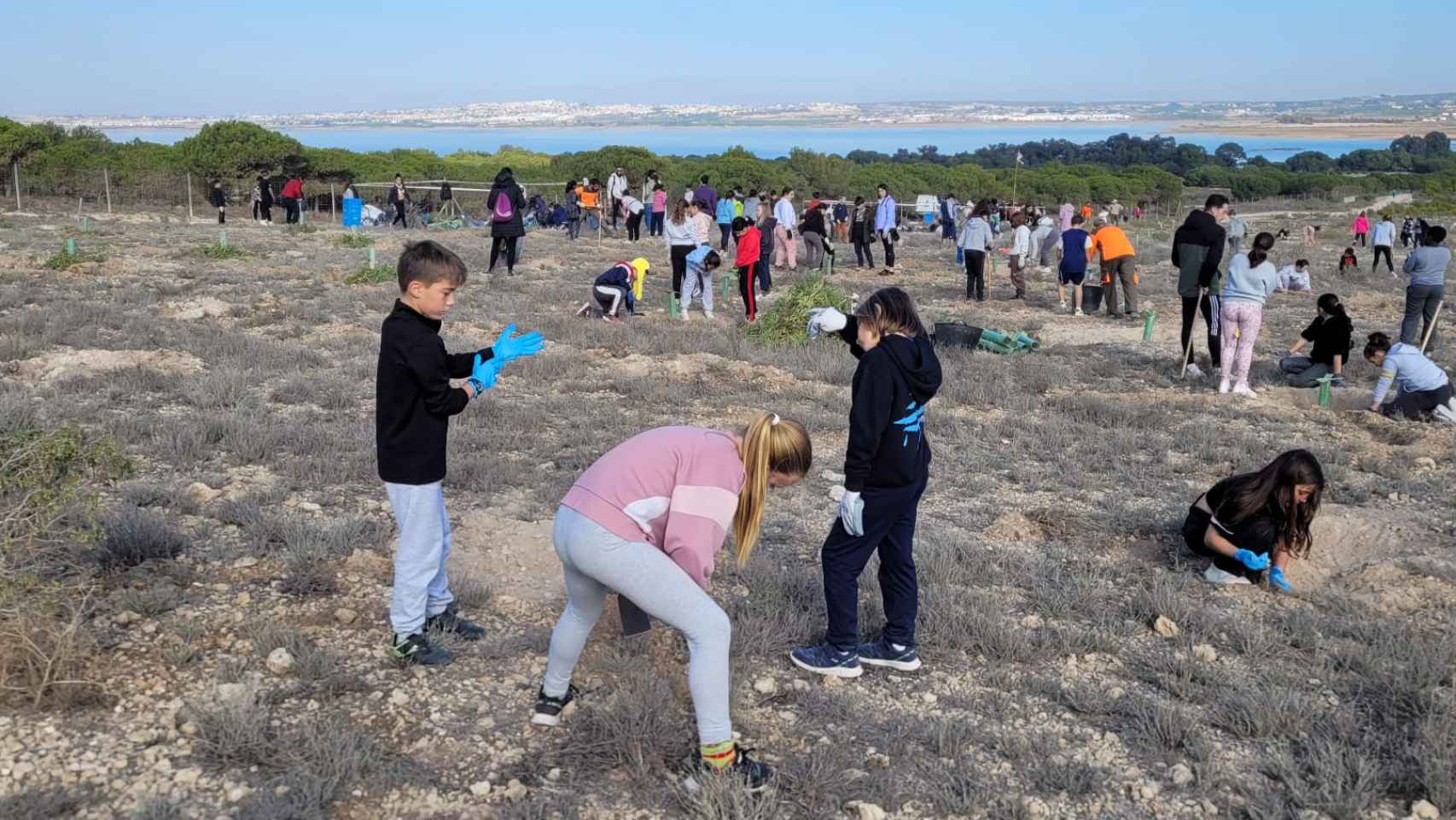 Medio Ambiente utiliza la plantación en el Parque de la Mata  para educar frente al cambio climático