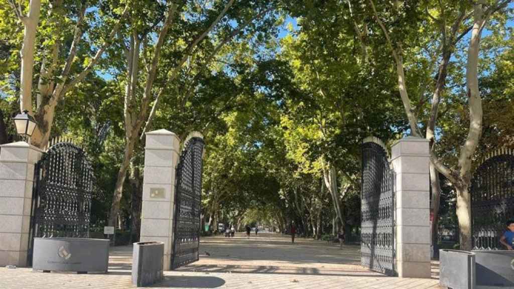 Parque Abelardo Sánchez de Albacete.