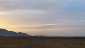 Un campo de arroz en la Ribera Baixa, sin agua.