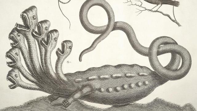 La Hidra de Hamburgo, del Tesauro (1734) de Albertus Seba. Linneo identificó el espécimen de hidra como falso en 1735.