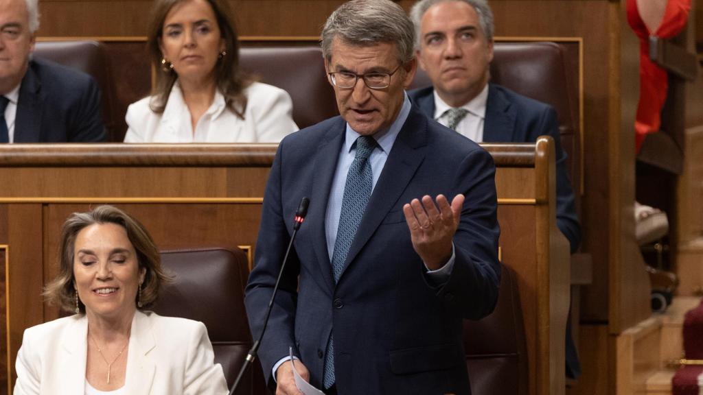 El presidente del PP, Alberto Núñez Feijóo, este miércoles en la sesión de control del Congreso. Foto: EP