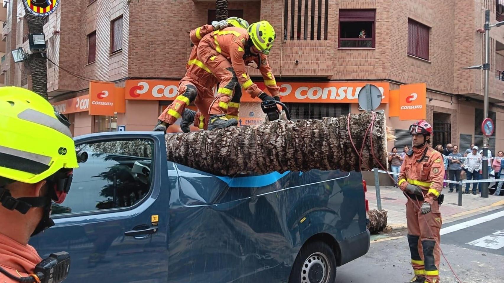 Los bomberos retiran la plamera.