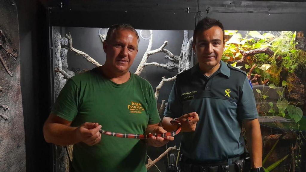 Terra Natura Benidorm acoge a una serpiente después de que un vecino se la encontrara en casa