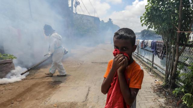 Un niño en Sri Lanka se protege mientras un trabajador fumiga para prevenir la cría de mosquitos.