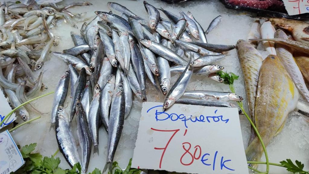 Boquerones frescos en el Mercado Central de Alicante.