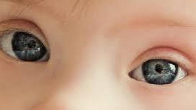 Los ojos azules de un bebé