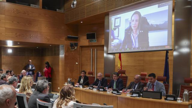 María Corina Machado, en su comparecencia telemática del pasado lunes ante la Comisión de Asuntos Iberoamericanos del Senado.