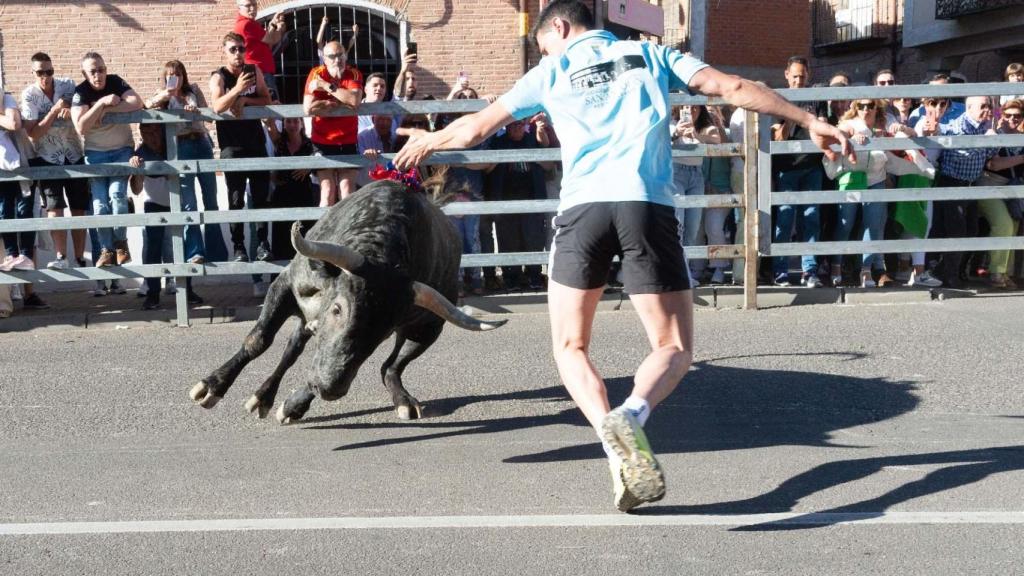 'El Toro de la Feria 2024' de Medina del campo