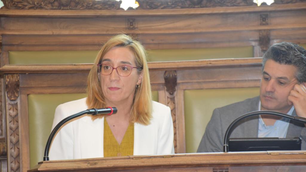 Anguita durante su intervención