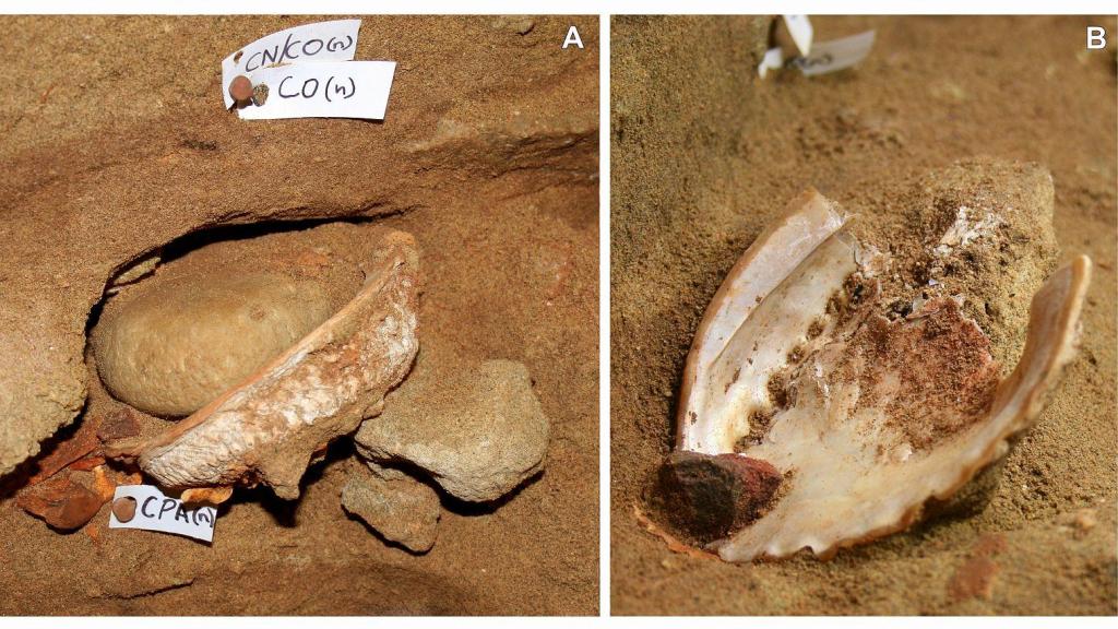 Una concha encontrada en la Cueva de Blombos (Sudáfrica) con restos de ocre rojo.