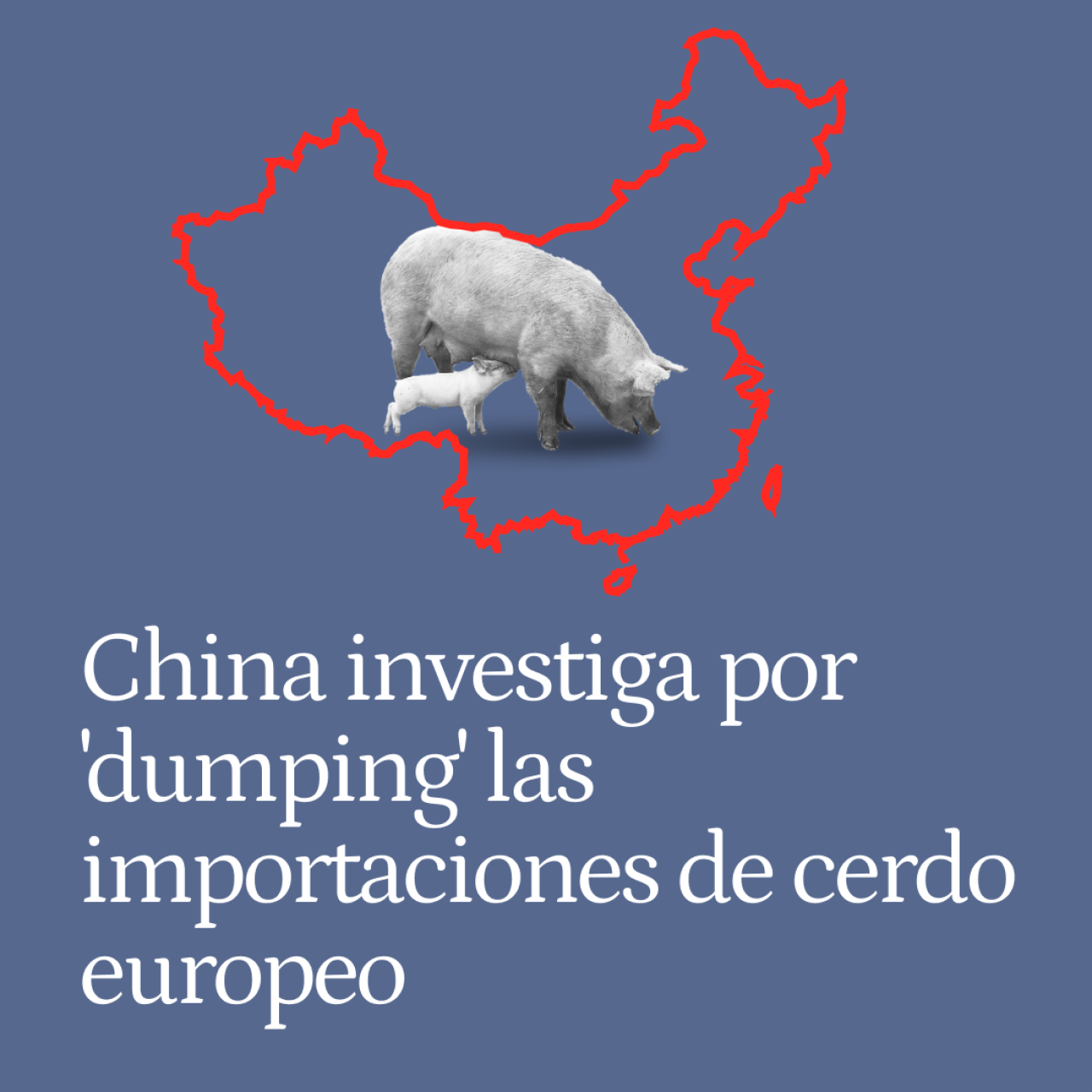 China investiga por 'dumping' las importaciones de cerdo europeo: los productores españoles, los más afectados