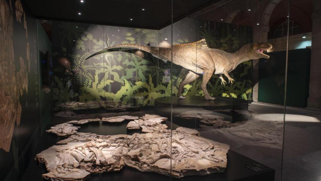 Fotografías de la exposición Cazadores de dragones.