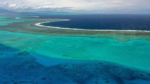 Nueva Caledonia se e1,200 kilómetros al este de Australia.
