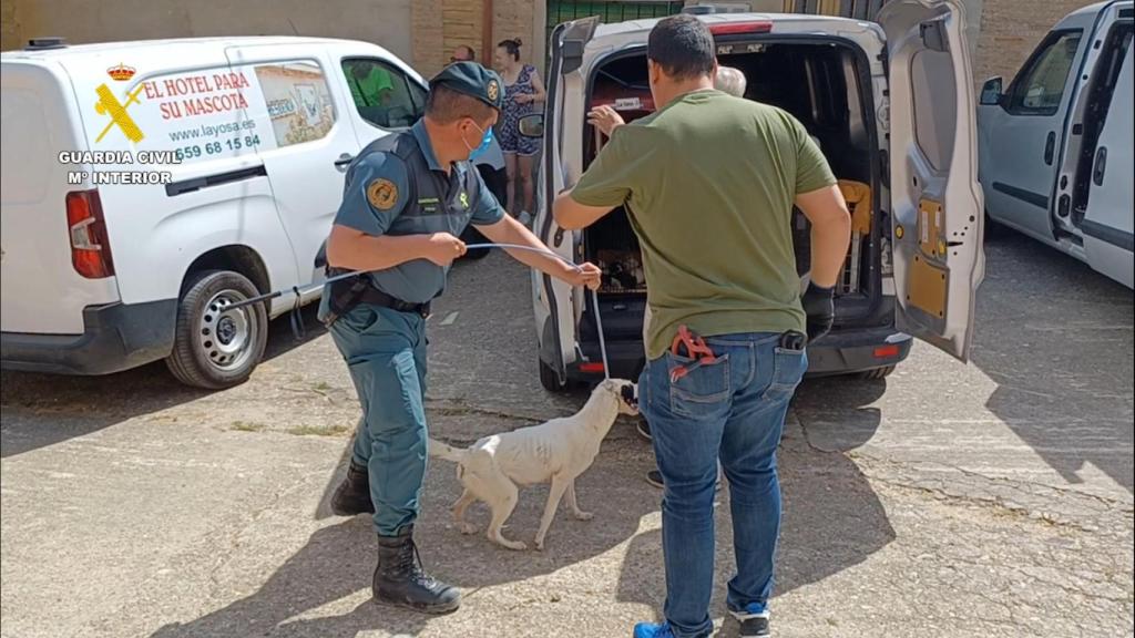 Animales rescatados en la falsa protectora de Villalube