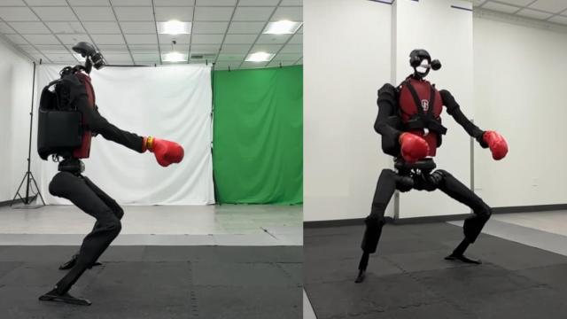 El robot HumanPlus realizando ejercicios de boxeo.
