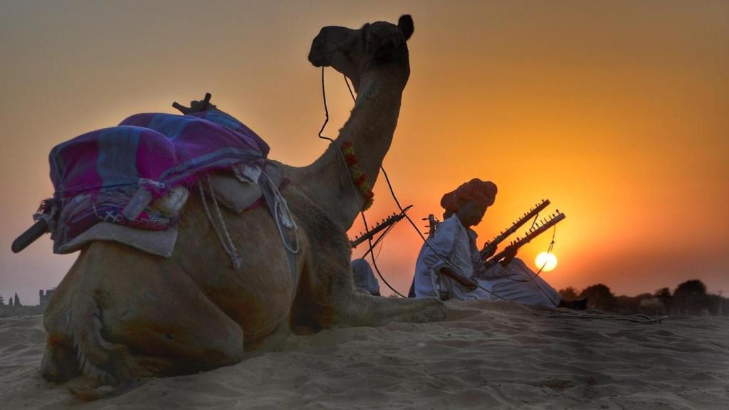 El Festival de Pushkar tiene uno de los mercados más grandes de camellos del mundo.