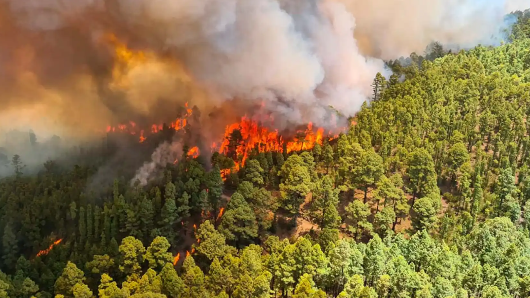 Imagen de archivo de un incendio en Tenerife en 2023.