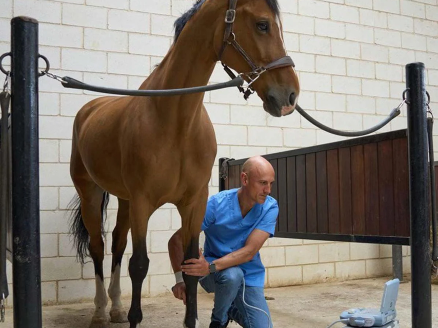 Este veterinario ambulante colabora con el Servicio de Cría Caballar de las Fuerzas Armadas.