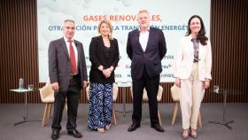Foro de El Observatorio de la Energía de El Español Biogases: otra opción para la Transición Energética