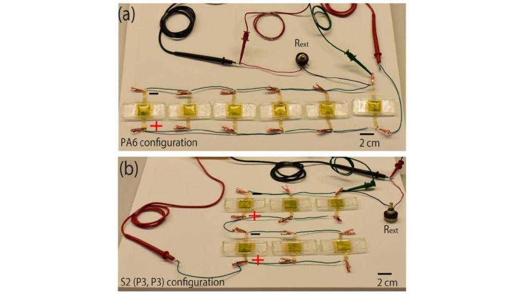 Varias microcélulas fotosintéticas conectadas en paralelo