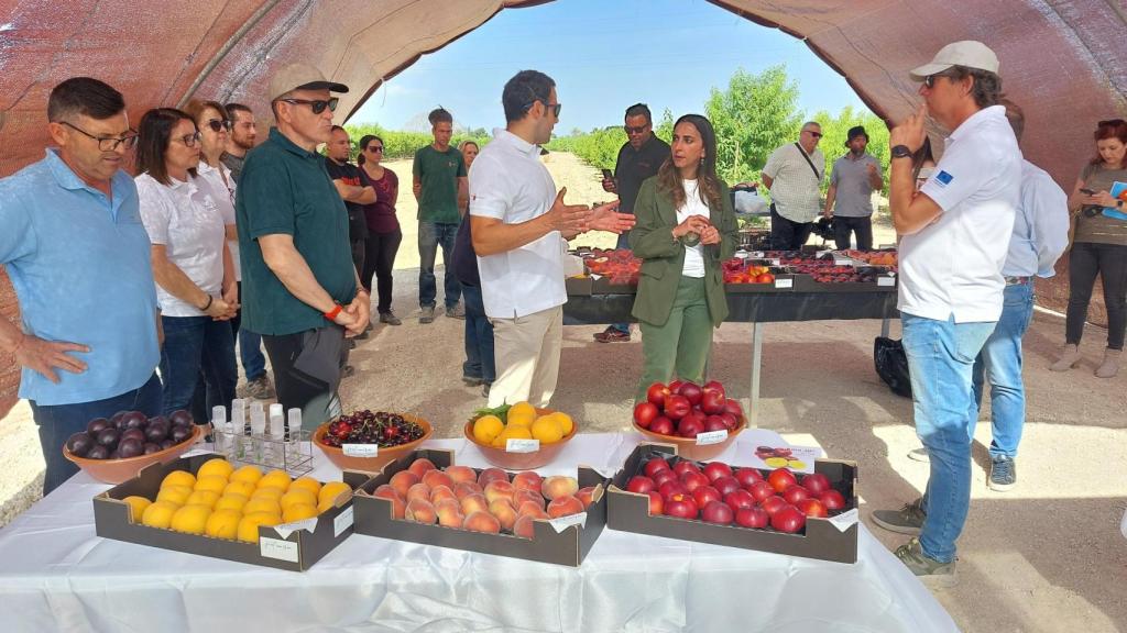Desarrollar nuevas variedades de fruta en la Región de Murcia para favorecer la comercialización
