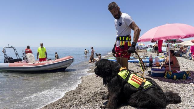 El instructor y formador de perros de salvamento, Miguel Sánchez, participa en un simulacro de rescate en una playa de Torre del Mar (Vélez-Málaga), junto a Queen, uno de los canes entrenados para ayudar en las tareas de vigilancia y salvamento dentro y fuera del mar de dicha localidad.