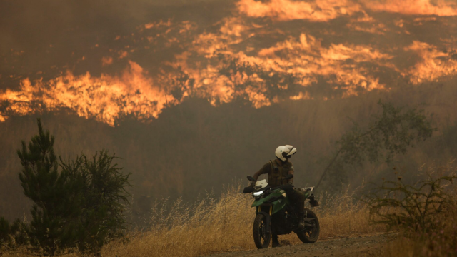 Un policía conduce una motocicleta cerca de un incendio forestal en Quillón, Chile, a 9 de febrero de 2023.