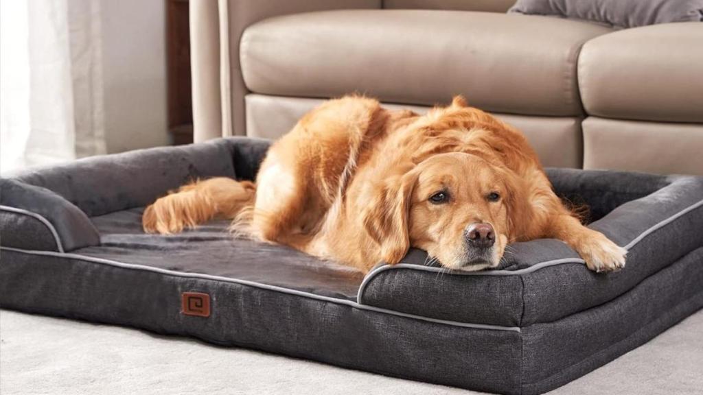 La cama para perros más vendida de Amazon lo está petando en España y ahora tiene descuentazo