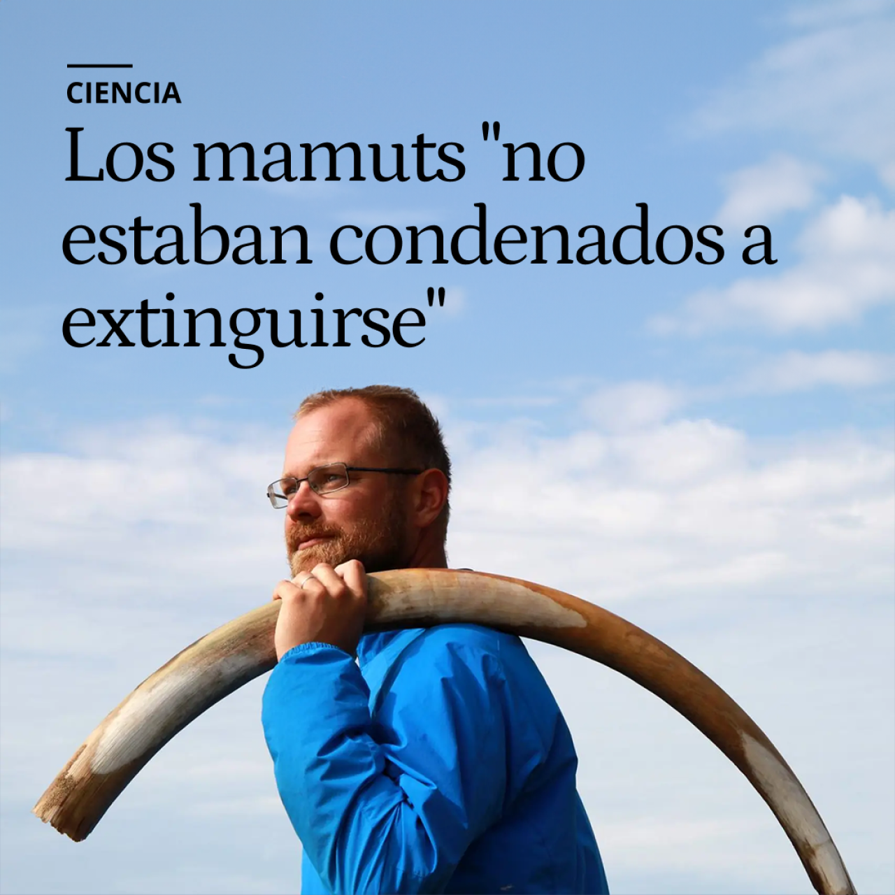 "No estaban condenados a extinguirse": reconstruyen genéticamente los últimos días de los mamuts