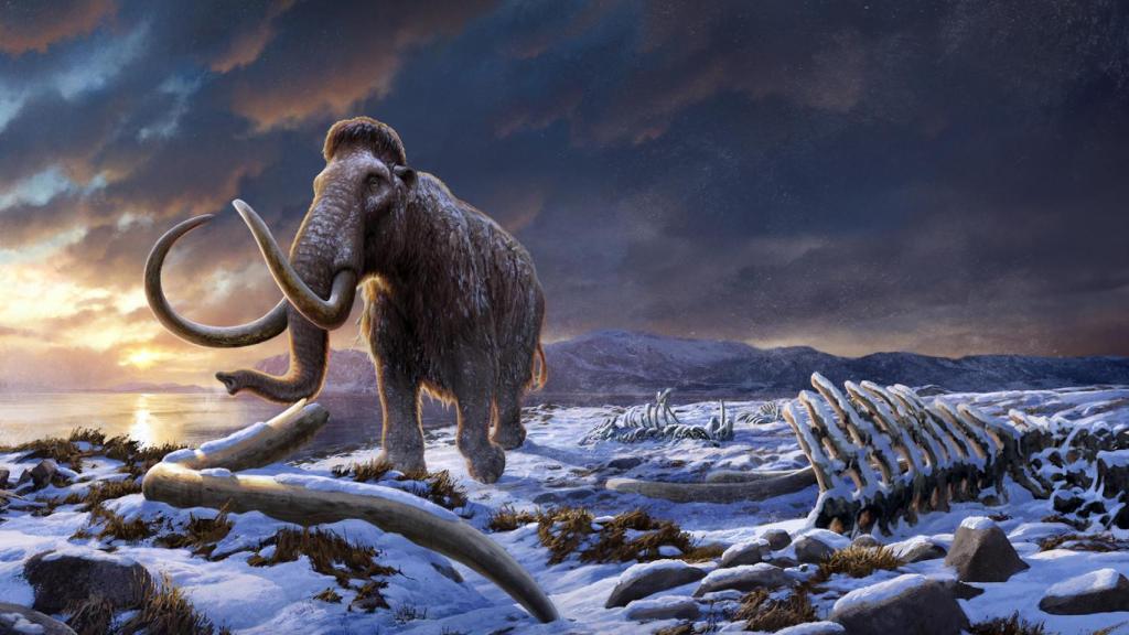 Reconstrucción de uno de los últimos mamuts de Wrangel.