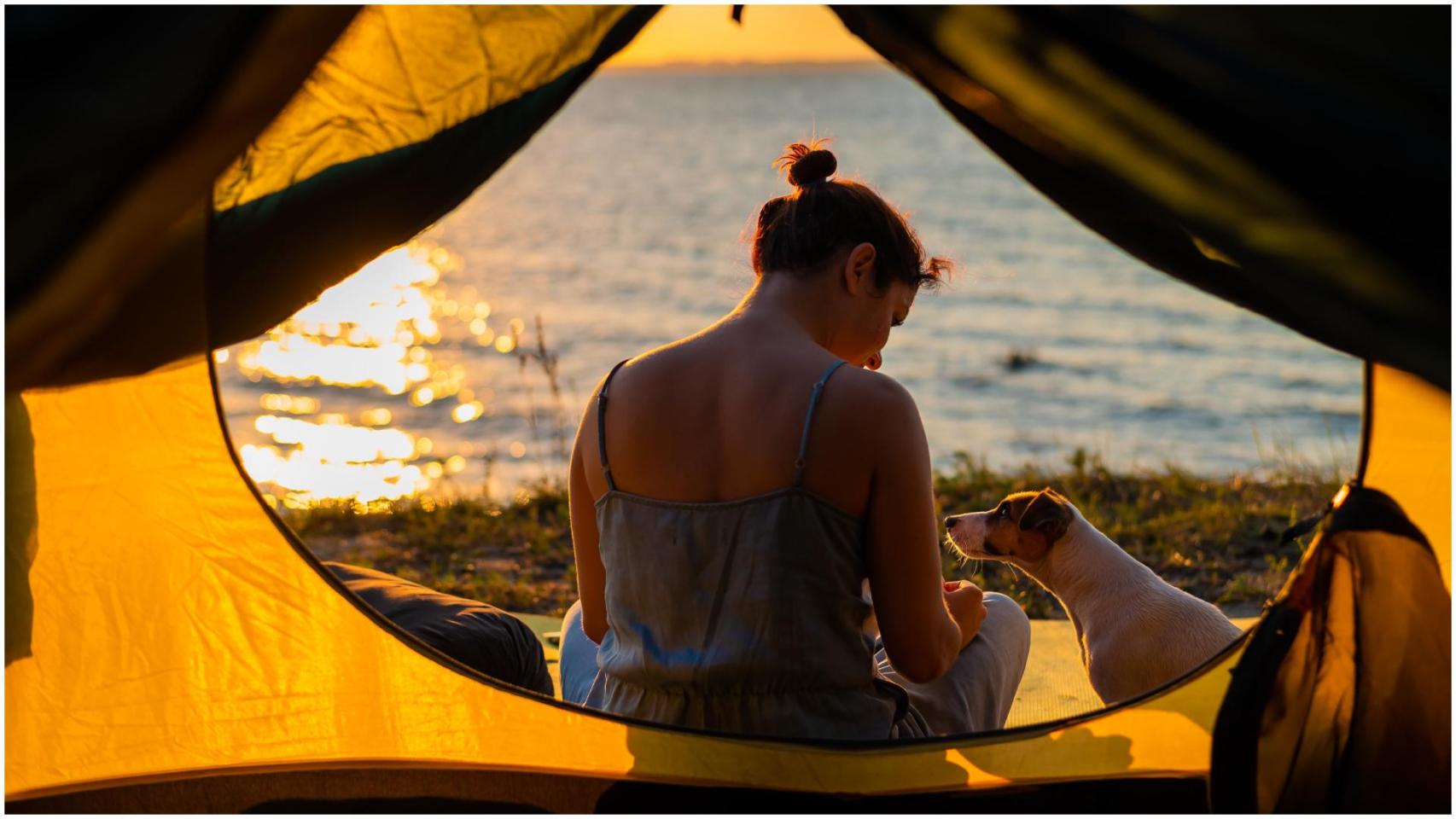 Camping en compañía de una mascota