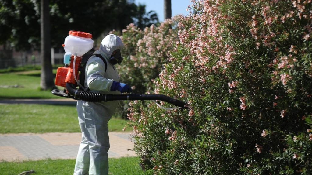 Un operario realiza labores de fumigación contra los mosquitos en un parque de Sevilla.