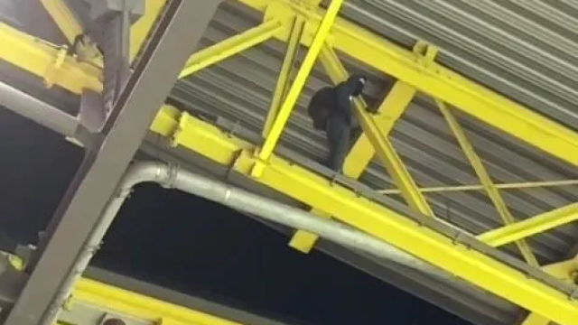 Un encapuchado en el techo del estadio del Dortmund.