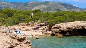 El paraíso del 'snorkel' que se esconde en Castellón: 8 km de playas vírgenes con peces protegidos desde 2002