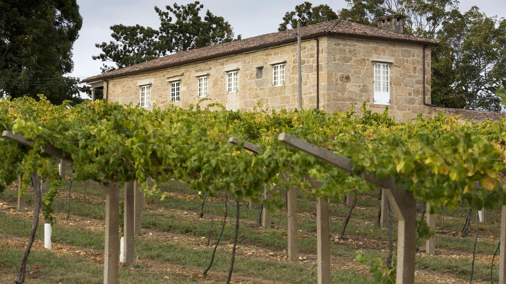 Los exteriores de la bodega Pazo San Mauro, en Salvaterra de Miño (Pontevedra).