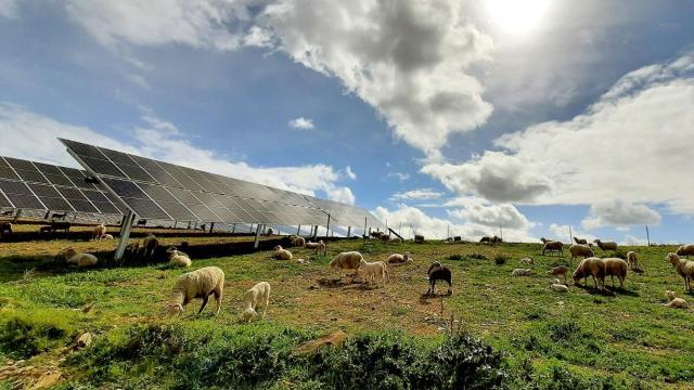 Un parque fotovoltaico en España.