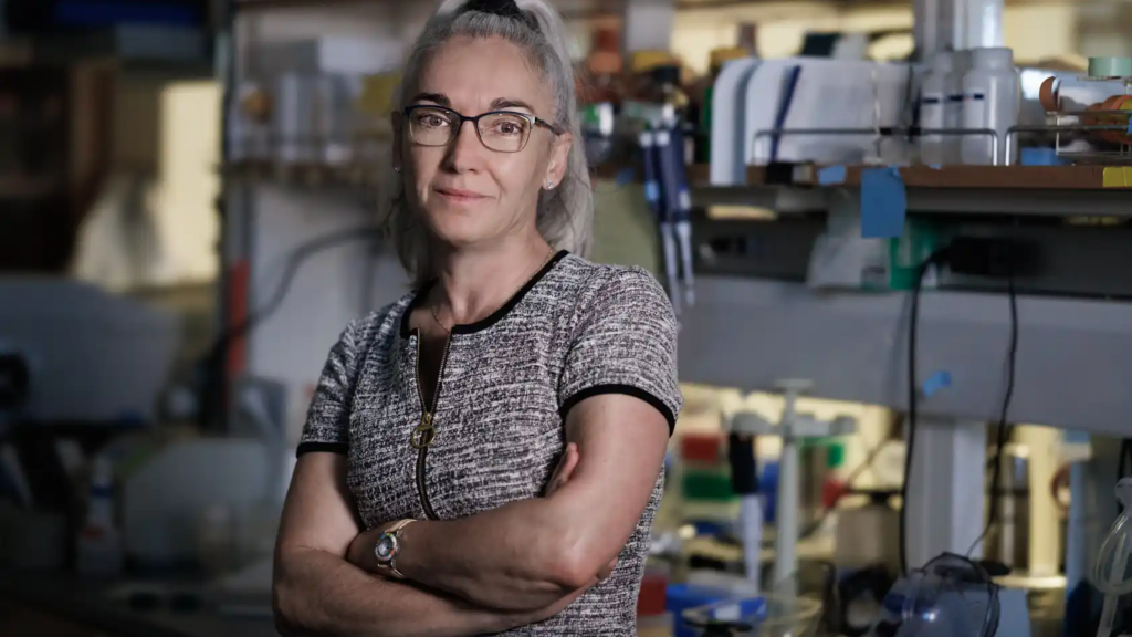 Eva Nogales, en su laboratorio de Berkeley.