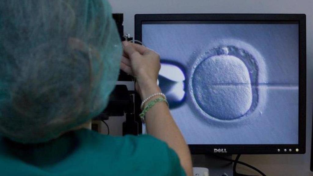 La selección de embriones es una de las técnicas que contempla el pronatalismo.