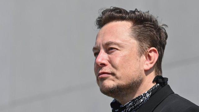 Elon Musk tiene 53 años y 12 hijos.